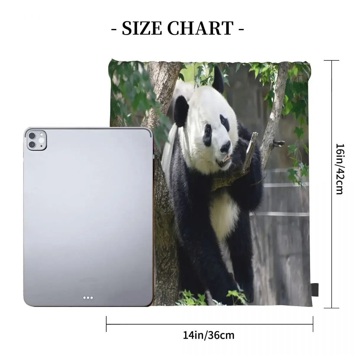 Giant Panda Bei At The National Zoo Backpacks Drawstring Bags Bundle Pocket Storage Bag BookBag For Man Woman