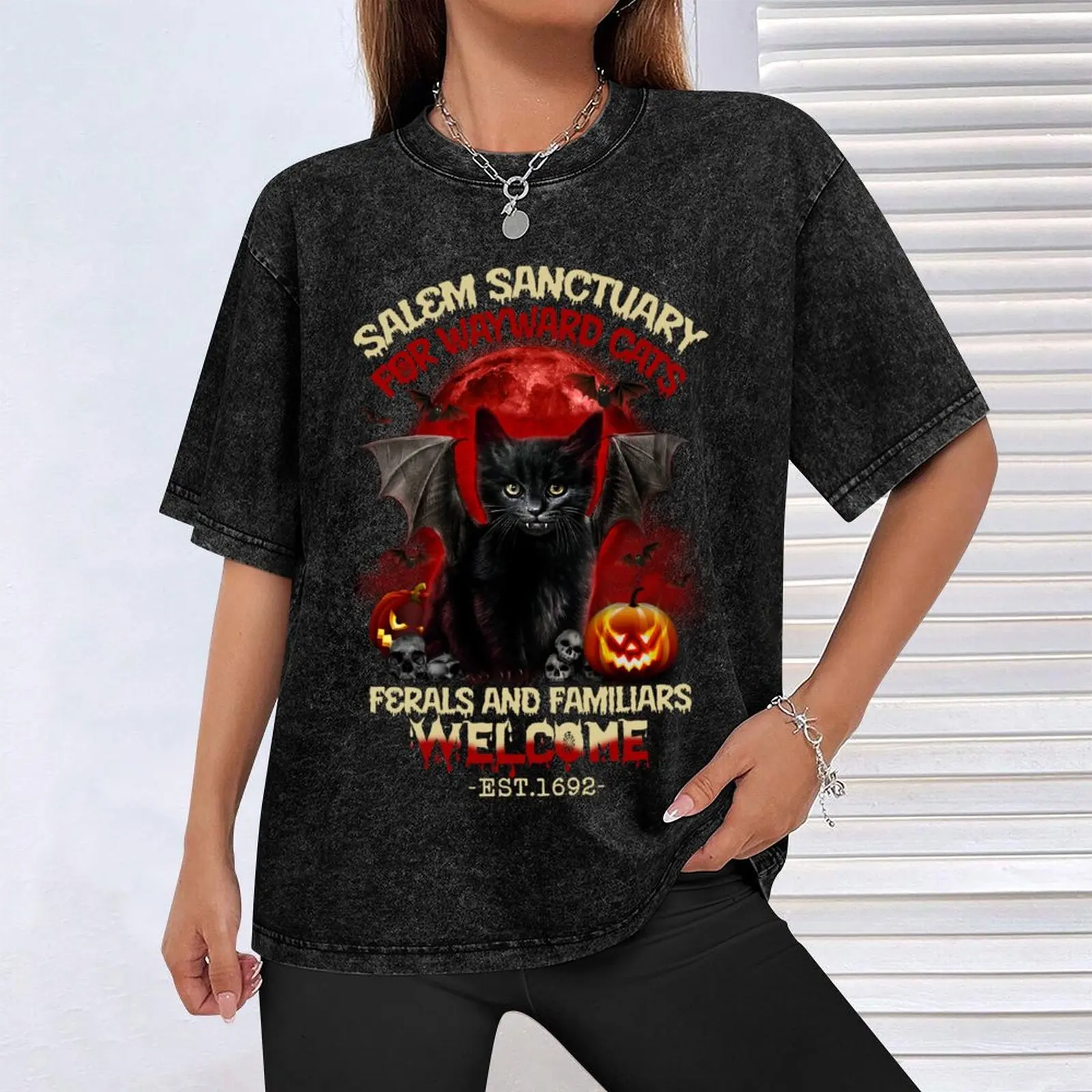 Мужская футболка Salem Sanctuary For Wayward Cat's Ferals And Familiars черная хлопковая