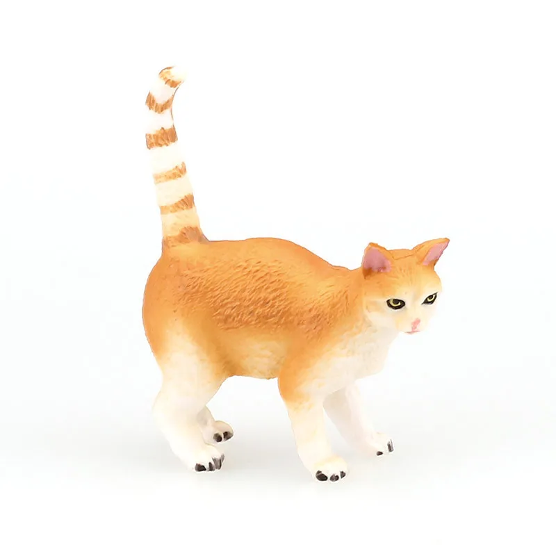 

Simulation Animnal cat Cognitive Model Plastic Handicraft Teaching Tool Decoration baby Toy gift A0073