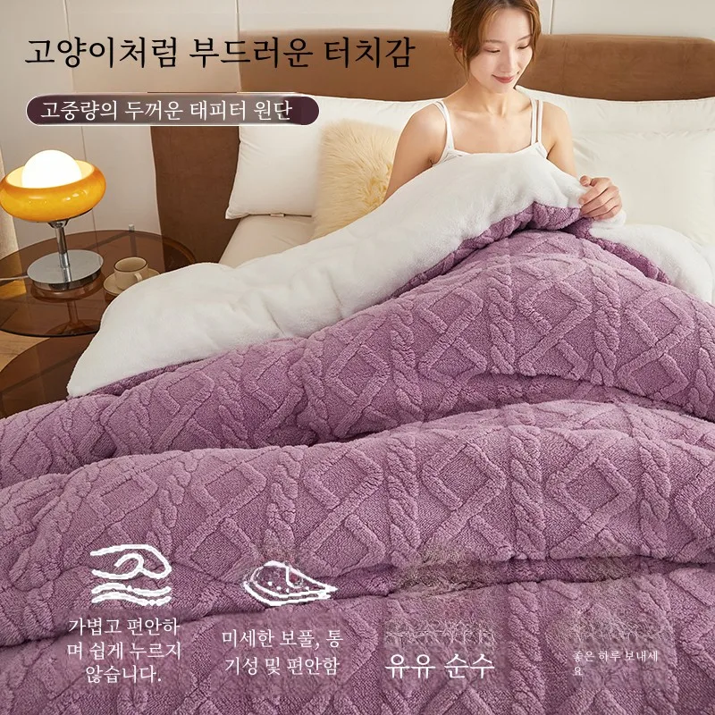 5.00kg Spring and Autumn Quilt Household Thickened Warm Berber Fleece Duvet Insert Winter Student Dormitory Singl...