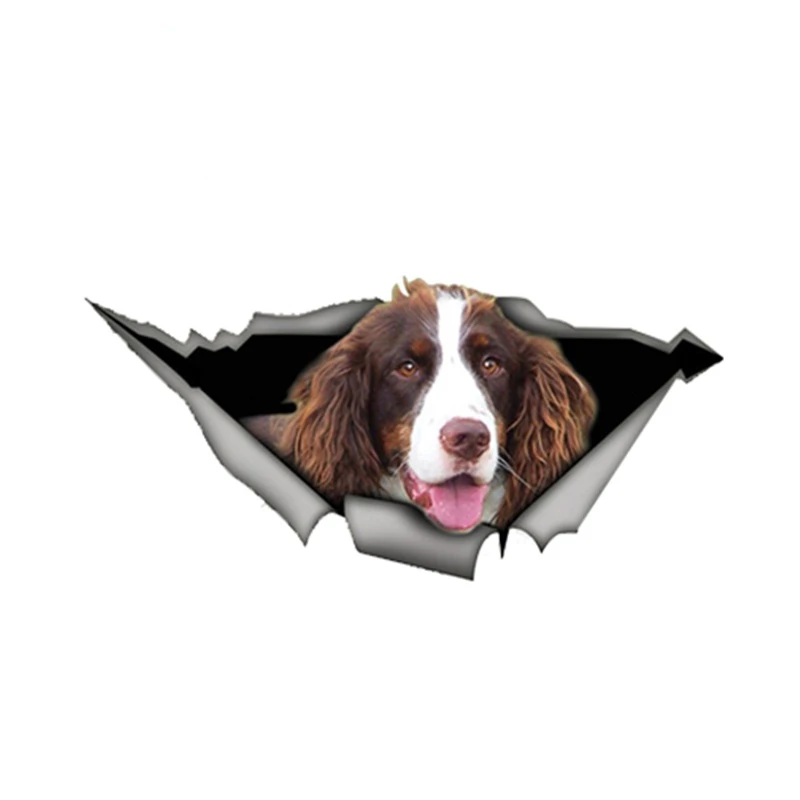 

13 см x 6,2 см коричневый и белый Спрингер спаниель Автомобильная наклейка рваная металлическая наклейка Светоотражающая наклейка s смешные н...