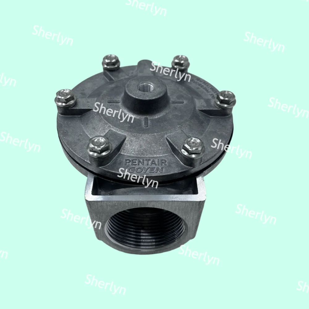 Фото Импульсный клапан GOYEN RCA35T RCA32T 1,5-дюймовый электромагнитный импульсный клапан Распылительный клапан Пневматический клапан Пневматическое управление №2
