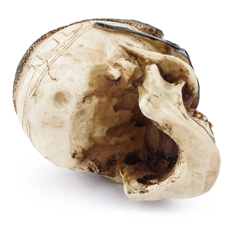 Vilead очки Череп статуя скульптура смола ремесло ужас реквизит модель Хэллоуин