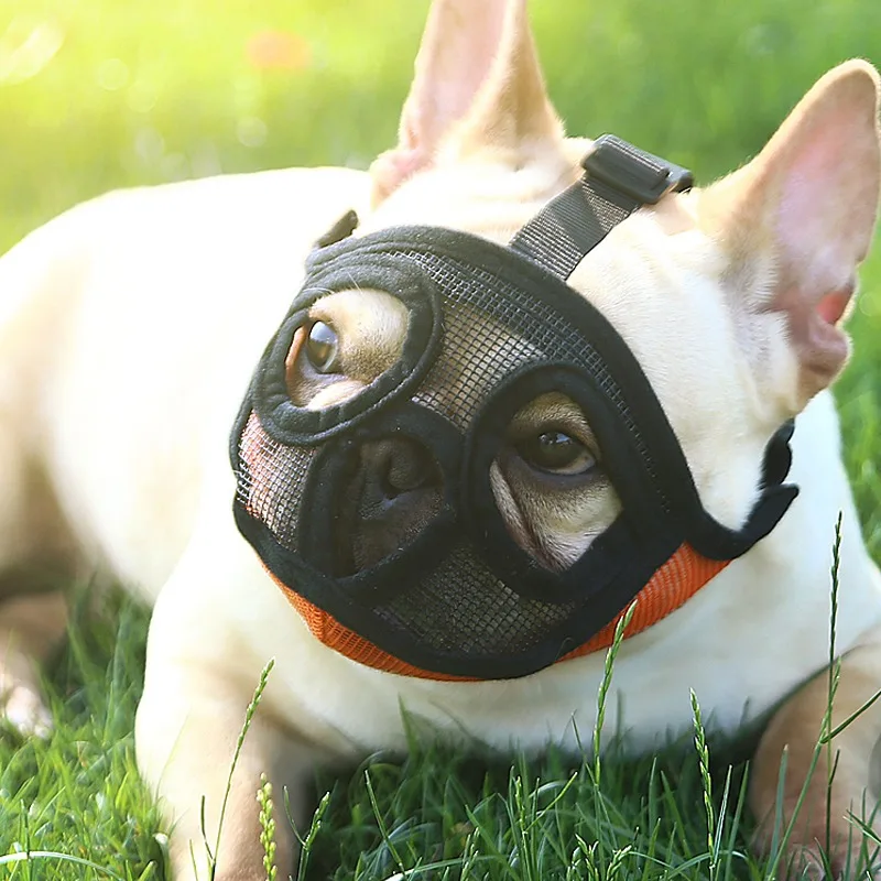 

Маска для собаки, рот французского бульдога, дышащая, стоп-товары, намордник для лая, предотвращает укусы собак, регулируемая