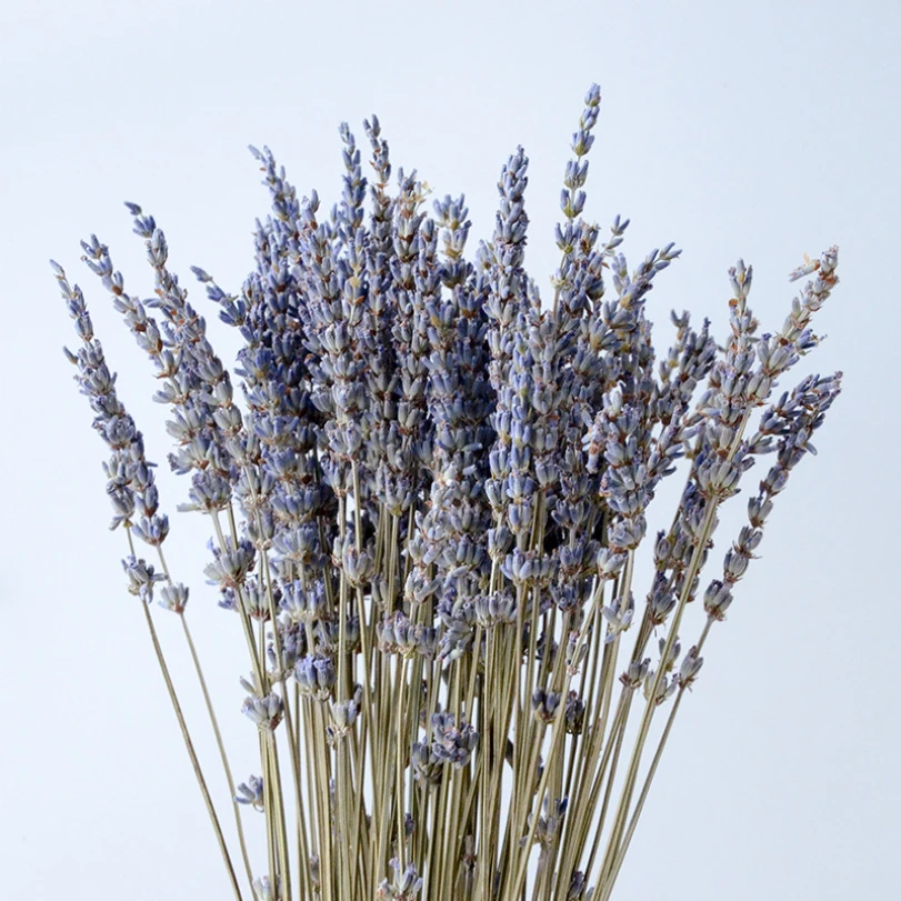 

50g Lavender Natural Dried Flowers Bouquet Arrangement In Vase Purple Lavender Flowers for Decoration Fall Wedding Home Decor
