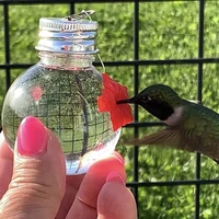 handhold bird hummingbird feeder light bulb pentagram shape drinker water plastic outdoor garden window suction cup bird feeder
