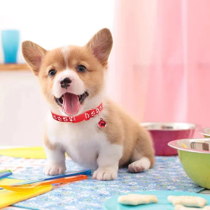 

1pcs Pet Supplies Small Dog Cat Collars Leads with Bell Design