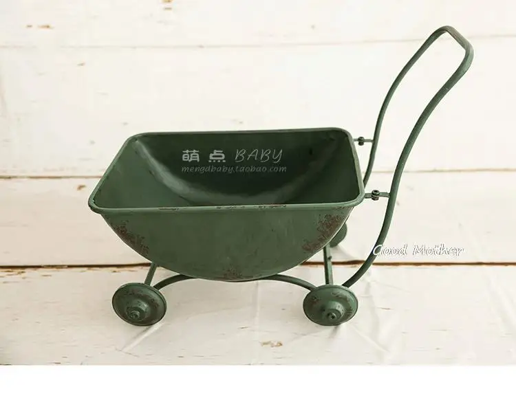 Рисунок 3 - Фотография новорожденного полный