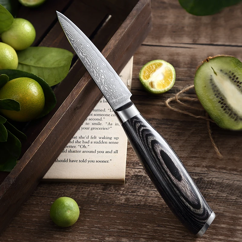 

Профессиональный нож для чистки фруктов TJ POP, 3,5 дюйма, VG10, 67 слоев, дамасская сталь, рукоятка Pakkawood, острый нож для чистки фруктов