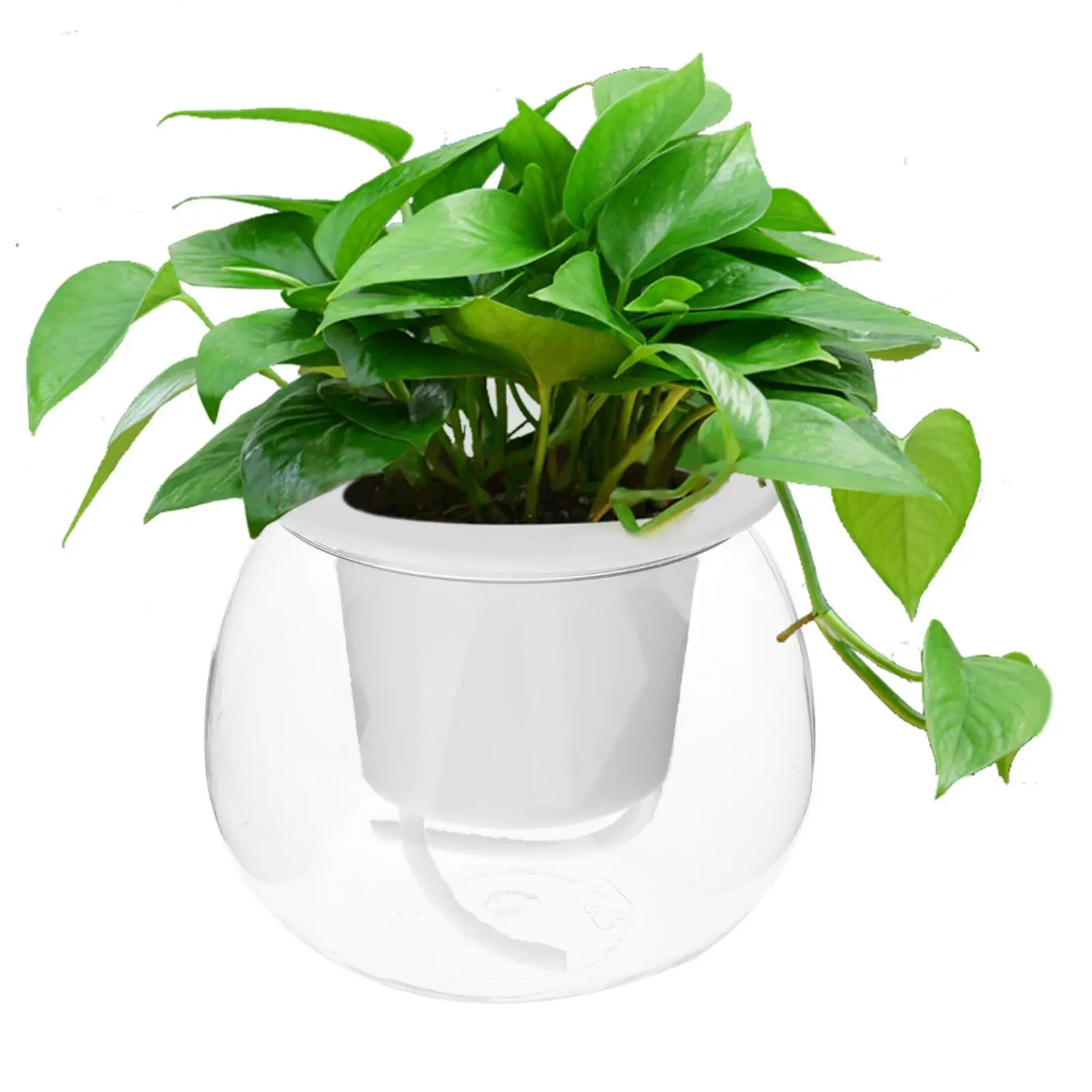 

Modern Self Watering Planter Pots Flower Pots for Gardening Window Kitchen