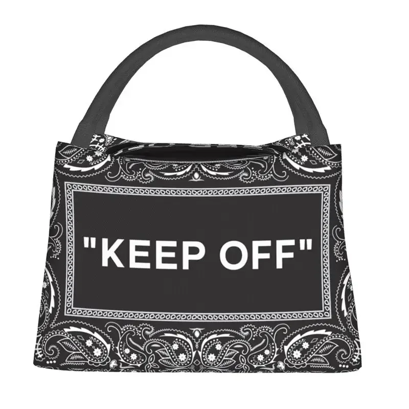 Изолированные сумки для обедов отдыха на открытом воздухе гипотический ковер