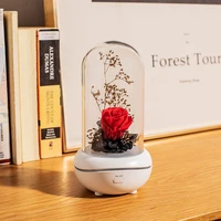 colorful aromatherapy lamp essential oil aroma diffuser eternal flower usb charging dreamy atmosphere seven color night light