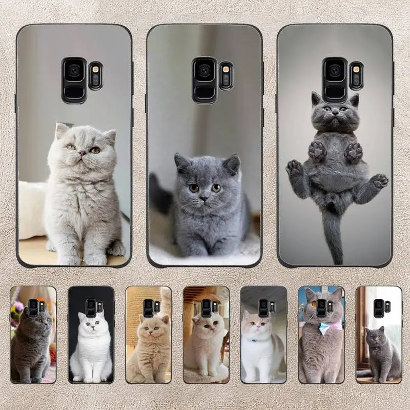 

British Shorthair Cat Phone Case For Samsung Note 8 9 10 20 Case For Note10Pro 10lite 20ultra M20 M31 Funda Case