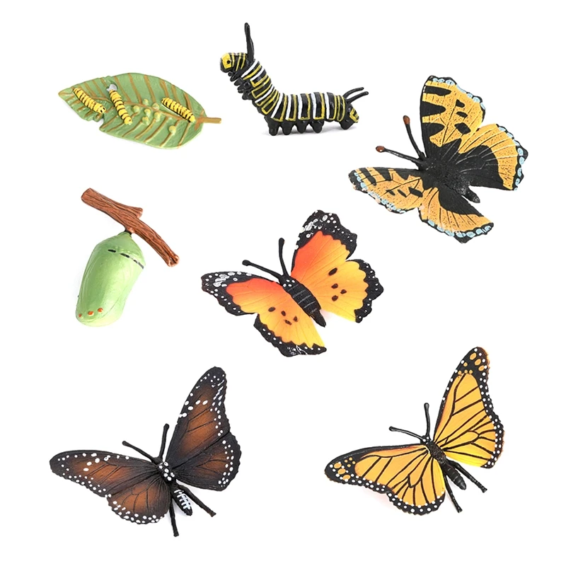 

Butterfly Life Growth Cycle,Insect Model Growth Stage Lifelike Butterfly Life Cycle Model Kids Education Learning Toys
