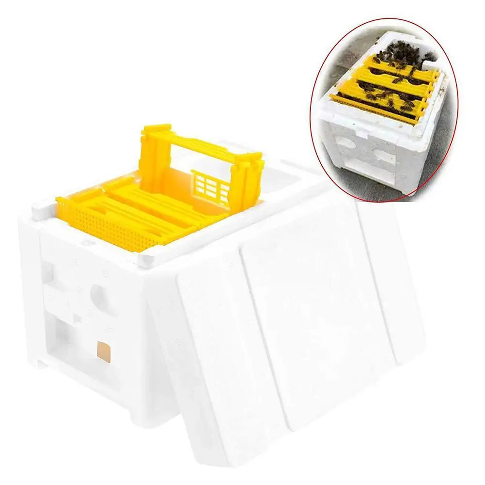 

Beehive Beekeeping King Box Foam Home Bee Hive Pollination Boxes Harvest Bee Hive Beekeeper Queen Bee Marking Cage Mating Tool