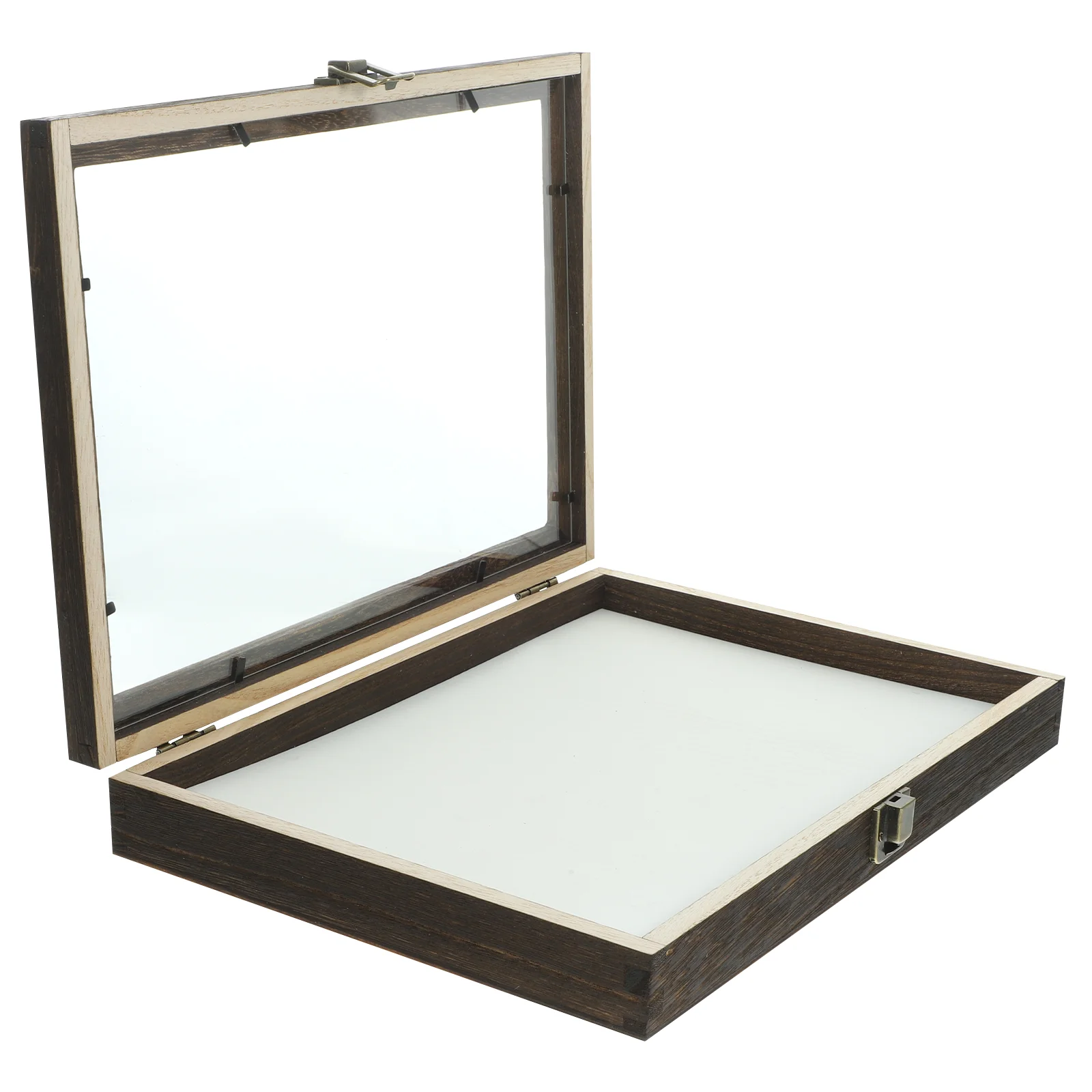 

Insect Specimen Box Dustproof Case Wood Showcase Display Holder Frame Container