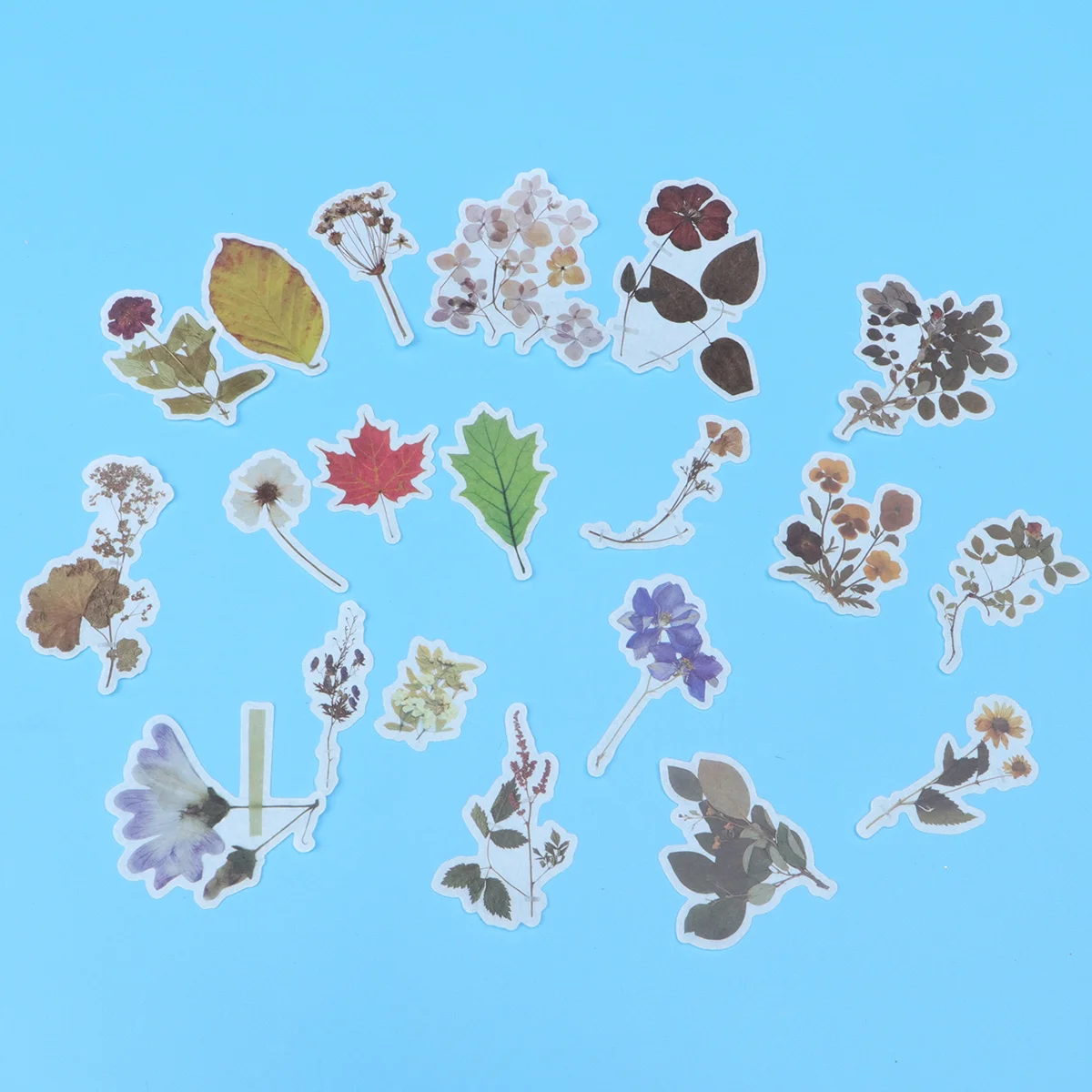 

Stickers Scrapbook Decals Laptop Decorative Flower Watercolor Wedding Craft Travel Kids Scrapbooking Seal Planners Crafts