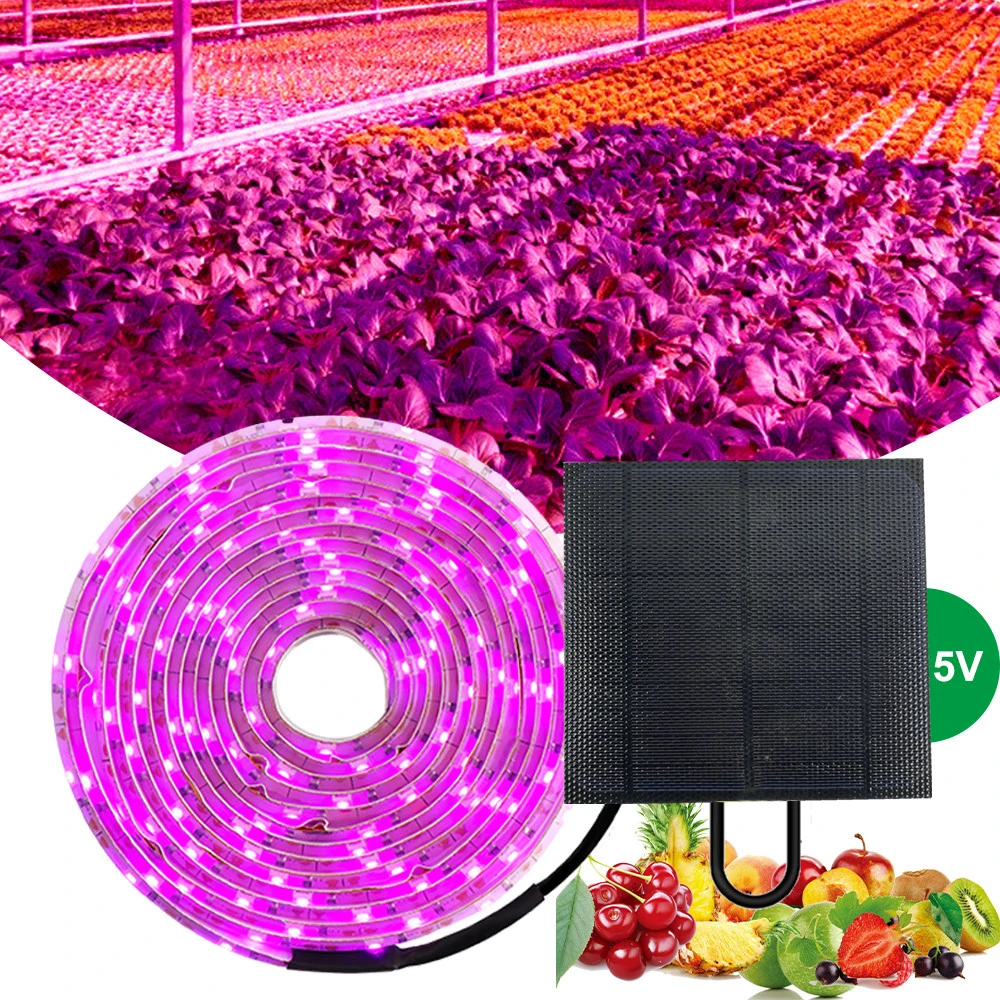 

5 м солнечная панель с питанием от полного спектра фитолампа для растений, цветов, рассады овощей, светодиодная теплица, гидропоника, светов...