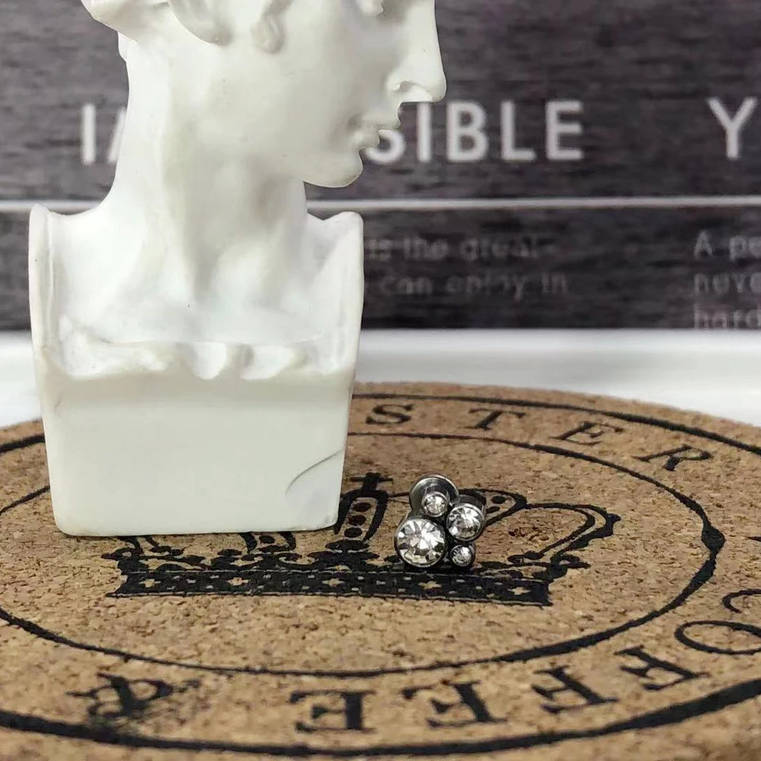 Piercing G23 Titanium Cartilage Septum Lip Ear Zircon Helix Stud Earrings Clicker Hinge Segment Body Jewelry Accessories Labret