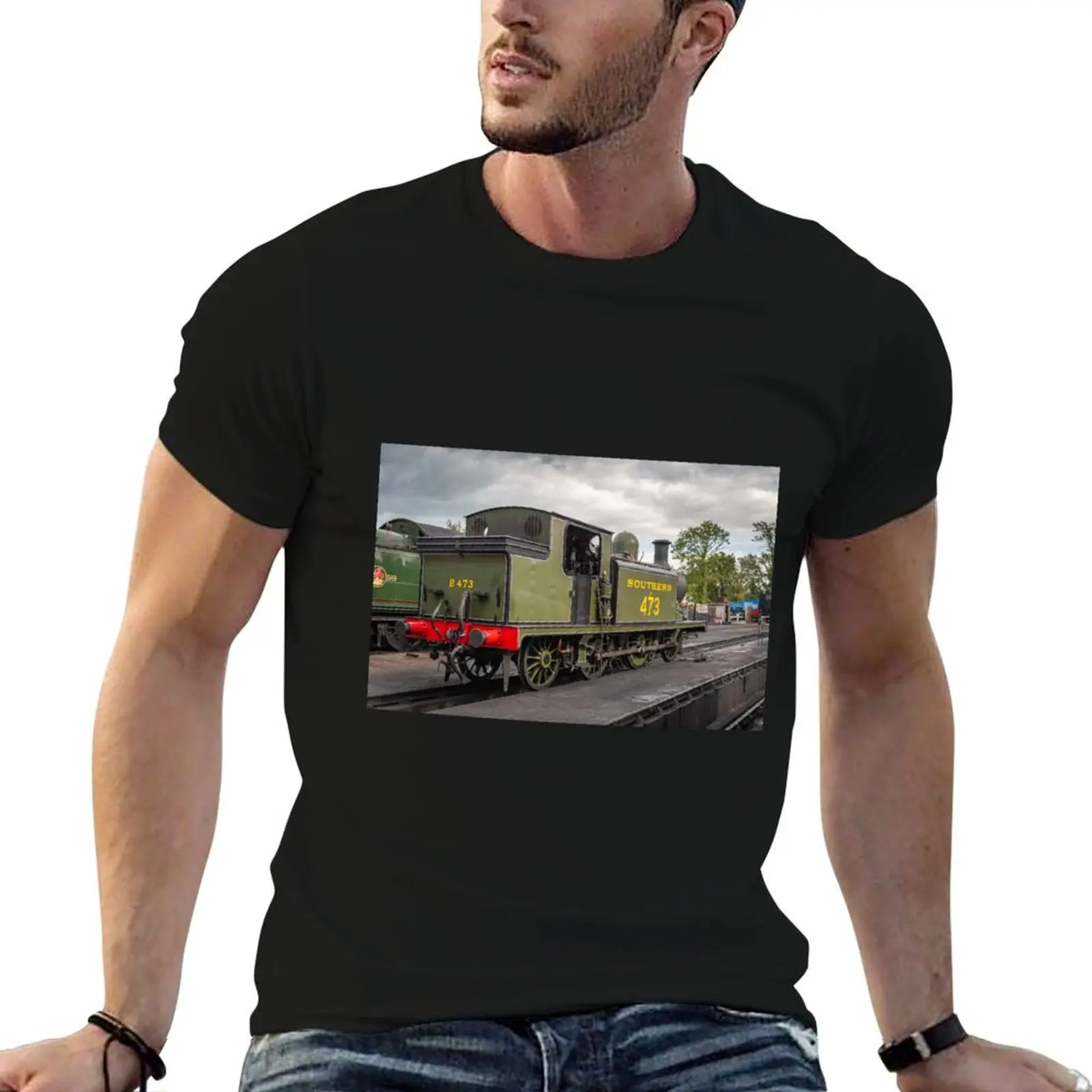 Футболка Bluebell Railway топы блузка тяжелые мужские футболки с рисунком в стиле