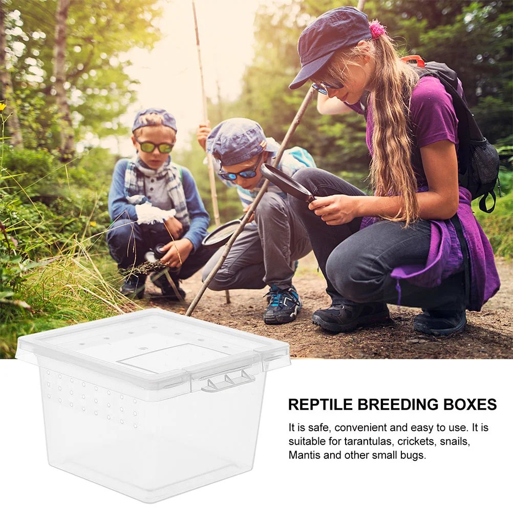 20 шт. коробка для кормления домашних животных паук террариум маленькая клетка