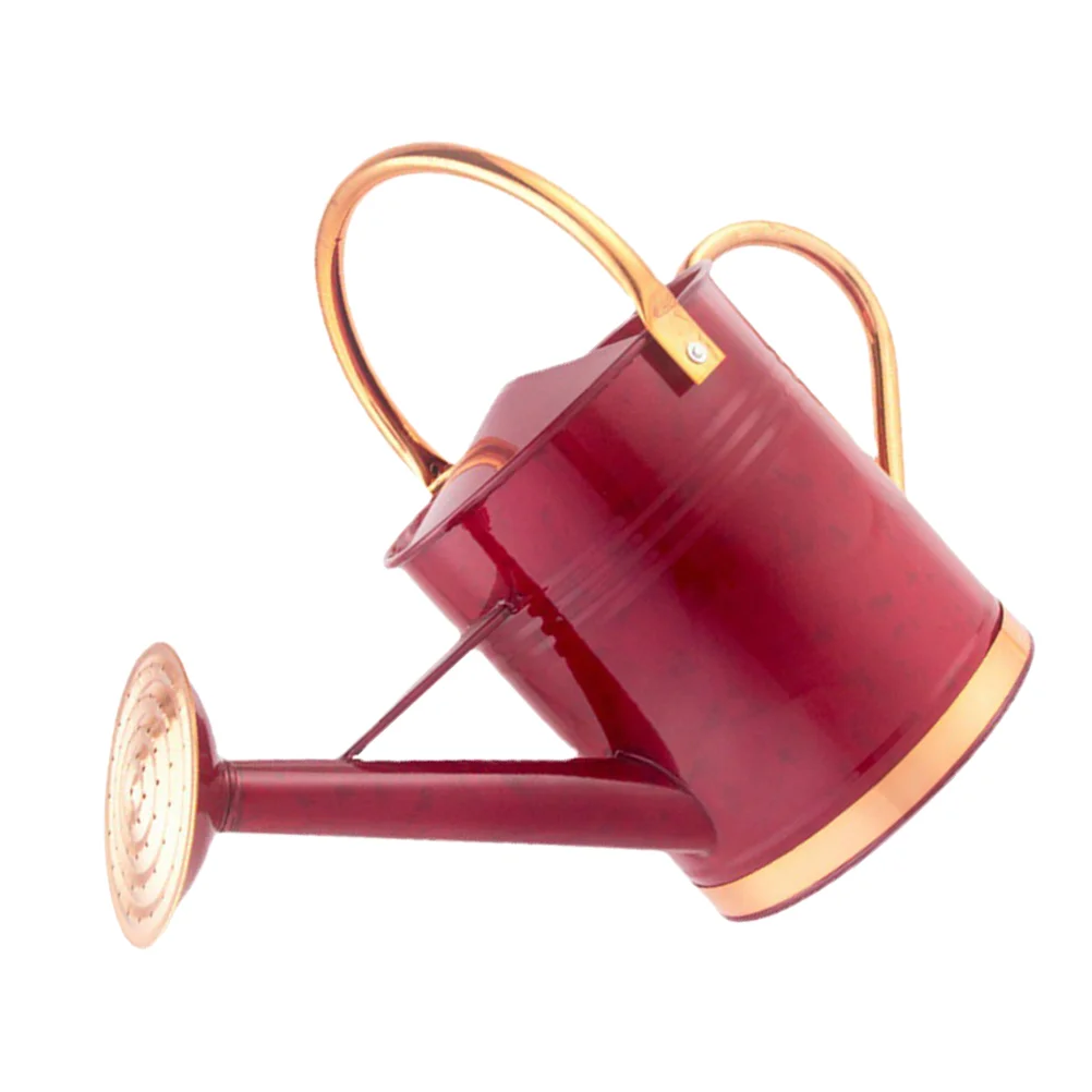 

Горшок для полива цветов, железная бутылка для сада, суккулентов, металлический спринклер с длинным оцинкованным носиком, для помещений