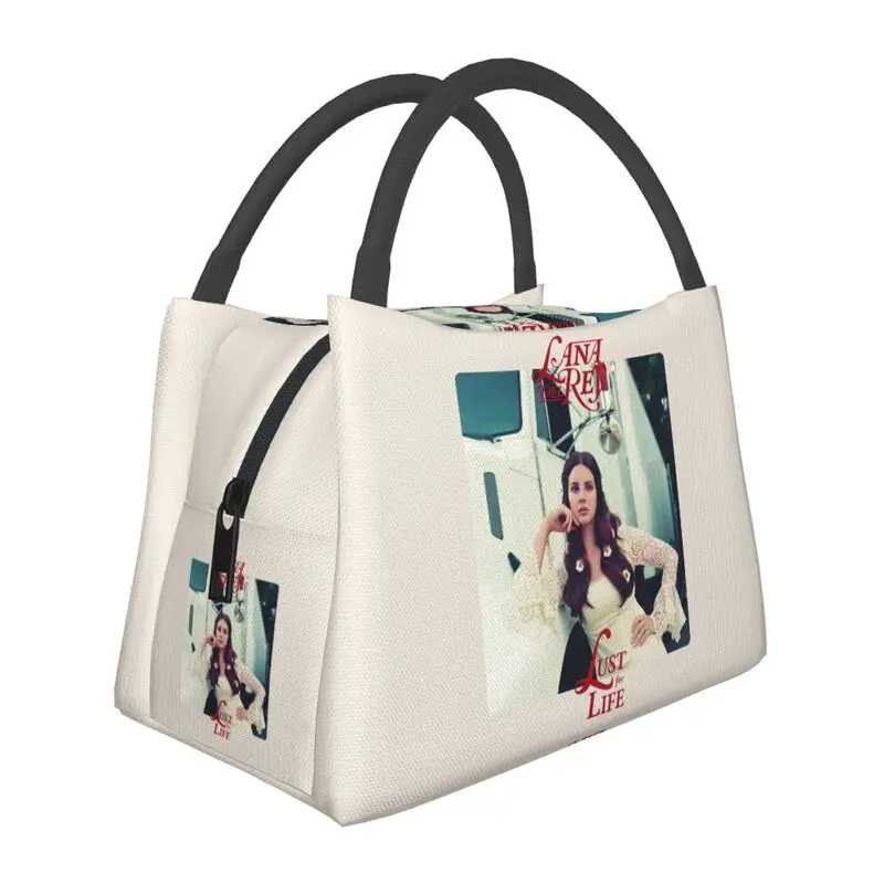 

Hand-held insulated refrigerated lunch bag is portable, stylish and simple, suitable for picnics