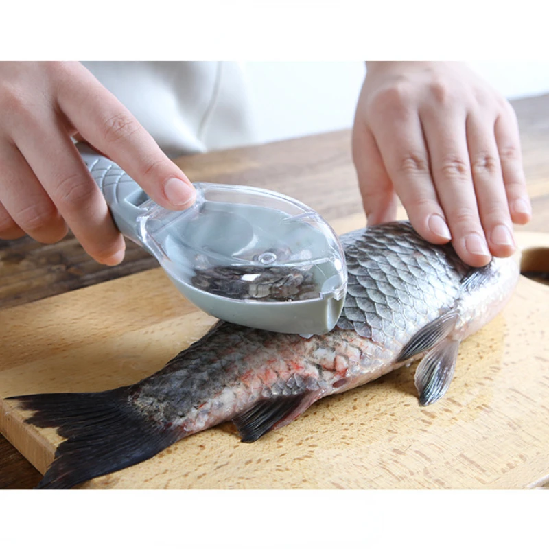 

Fish Skin Brush Scraping Fish Scale Brush Grater Disassembly Fish Knife Cleaning Peeling Skin Scraper Scraper Fish Scaler Tool