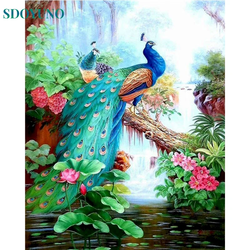 

SDOYUNO Diy Paintings By Numbers Peacock Animal Coloring Paint Home Decor Picture Canvas Painting For Living Room Artwork