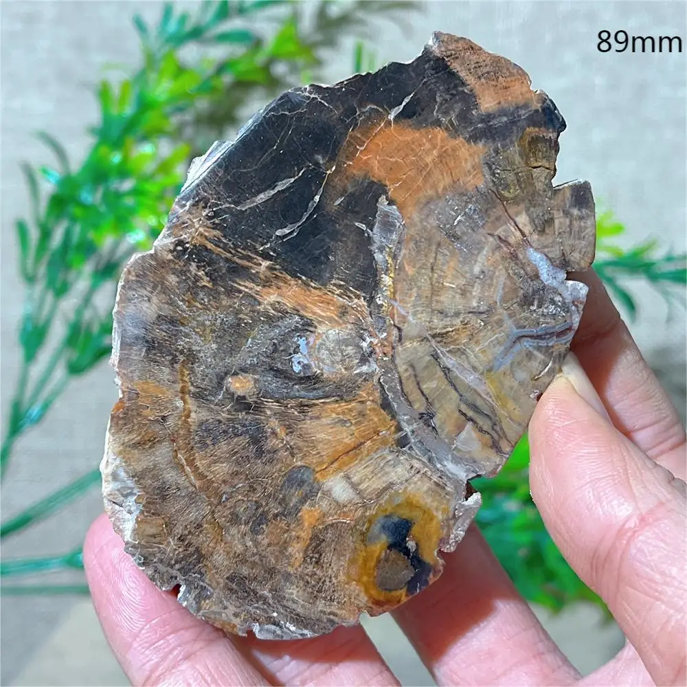 

Кристаллический геод из камня DriB