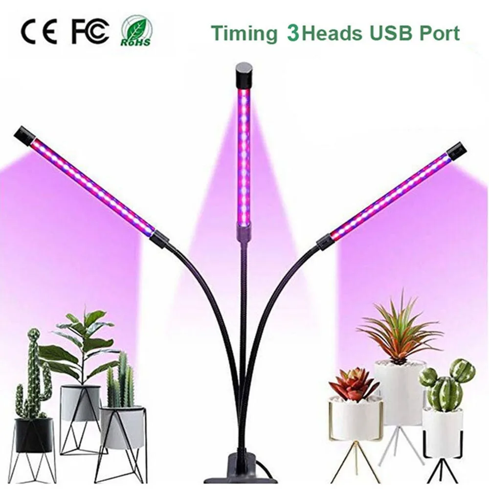 Фитолампа светодиодная 50вт. Фитолампа g23. Цвета фитолампы для растений. Светильник для фитолампы е27. Цвета фитолампы для растений.