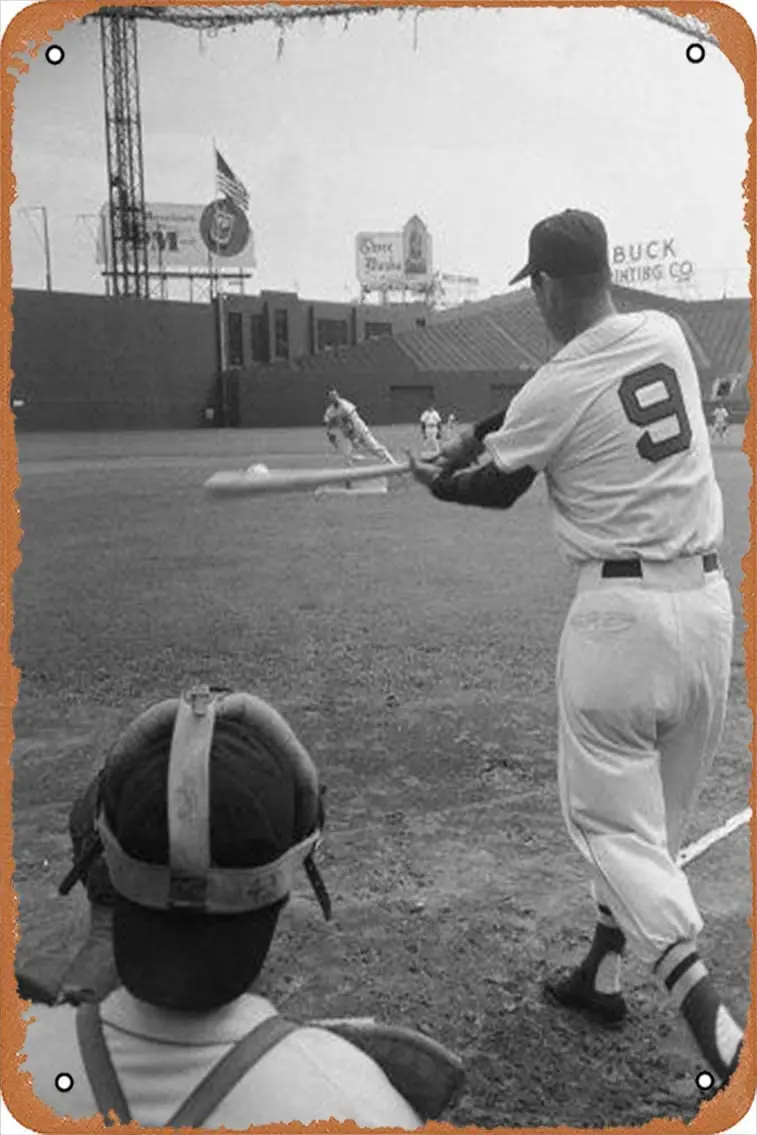 Постер Железный в стиле ретро для путешествий Тед Уильямс жестяной винтажный