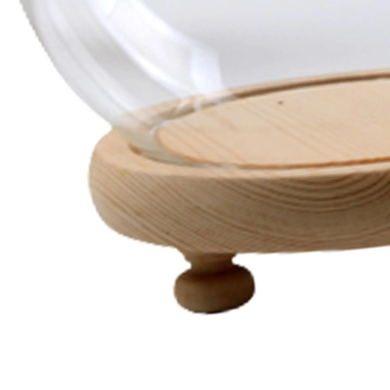 Купол дисплея с деревянной основой поделки подарки на день рождения товары для