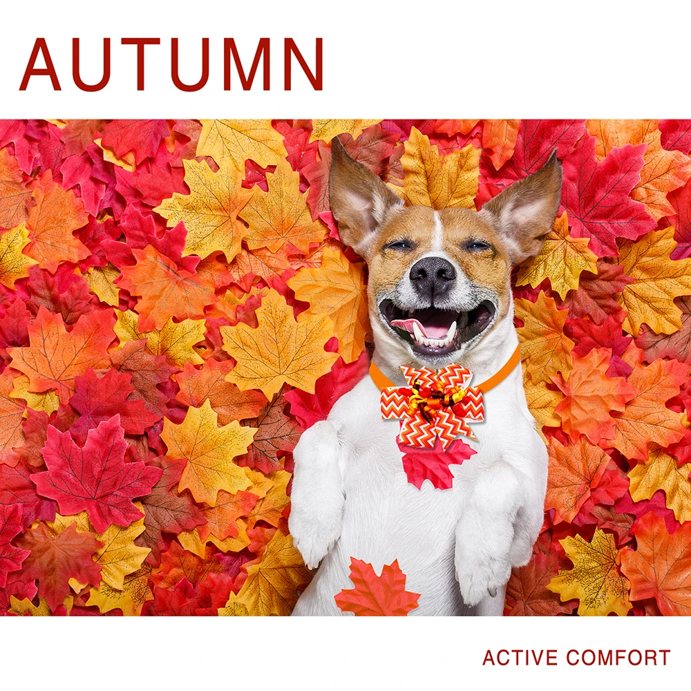 Рисунок 2 - Галстук-бабочка для домашних питомцев