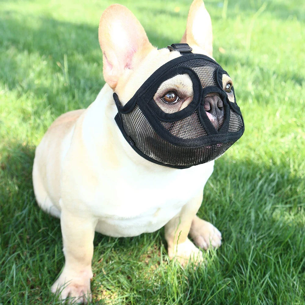 

Short Snout Dog Muzzle Adjustable Breathable Mesh Bulldog Muzzle for Barking Biting Chewing Training