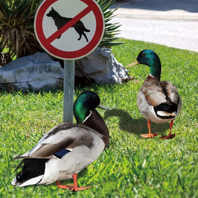 

KX4B 2pcs Duck Garden Stakes Acrylic Yard Signs Outdoor Sculpture Lawn Decoration