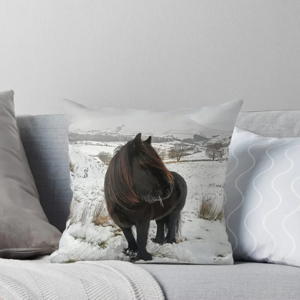 Просто еще один день для лакланда откидная подушка из пони роскошные аксессуары