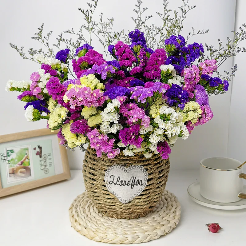 

Immortal Flower Forget-Me-Not Star Dried Flower Bouquet Real Flower Natural Air - Dried Home Living Room Decoration Crafts