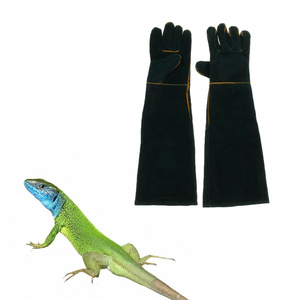 

Anti-scratch Bite-proof Gloves For Snake Lizard Squirrel Protection Gloves