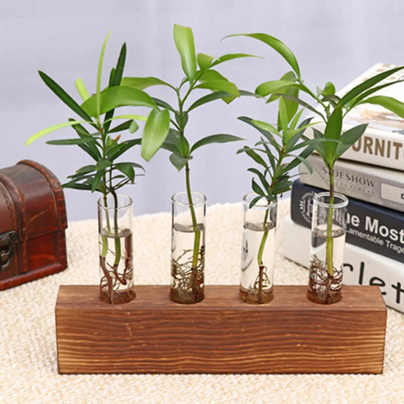 

Гидропонный контейнер с деревянной рамкой, стеклянная пробирка, ваза, гидропоника, зеленый редис, сушеные цветы, растения, цветок, украшение...