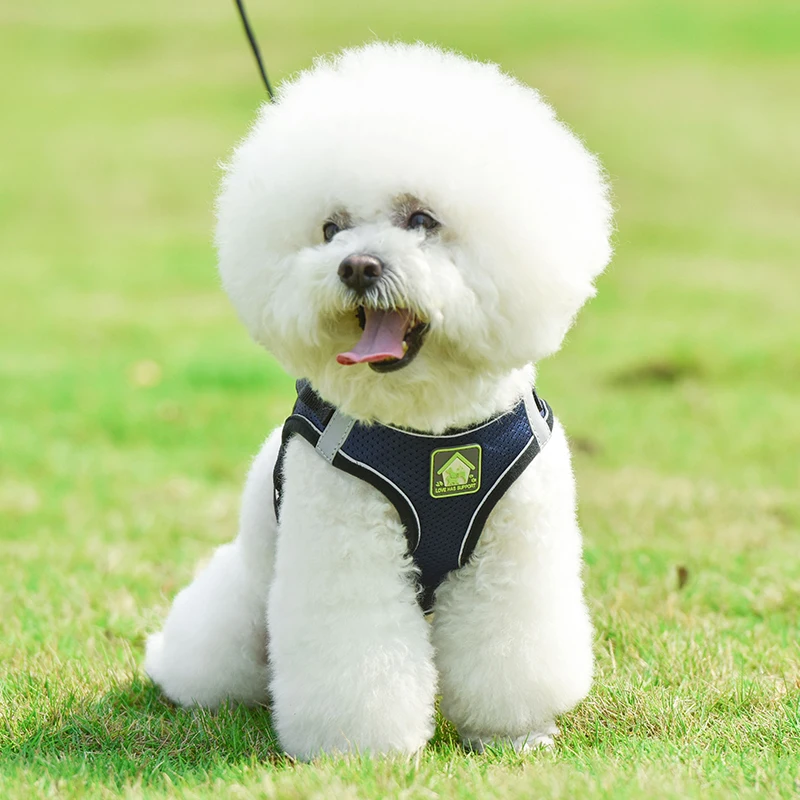 Шлейка для маленьких собак и кошек сетчатая дышащая жилетка домашних питомцев