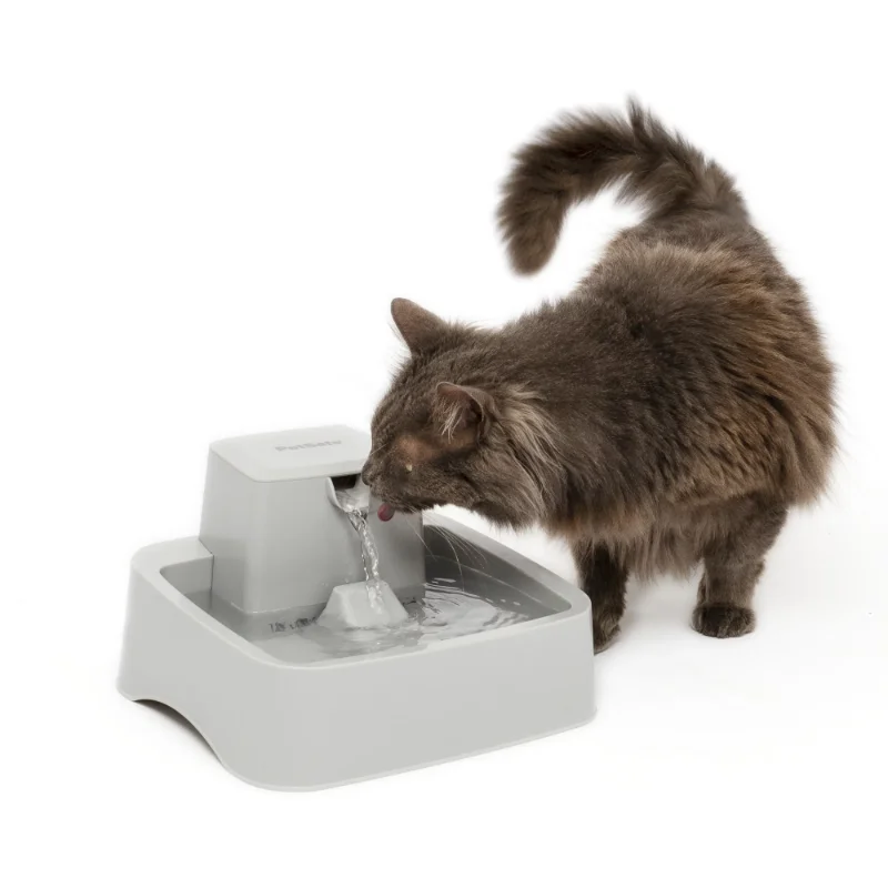 

PetSafe Drinkwell 1/2 Gallon Pet Fountain, Dog and Cat Automatic Water Bowl - For Small Pets cat food dispenser pets