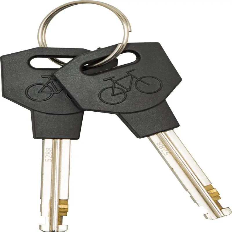 

Trendy U-Shackle with Anti-Pivot Steel Black Key, Perfect for Secure Locking.
