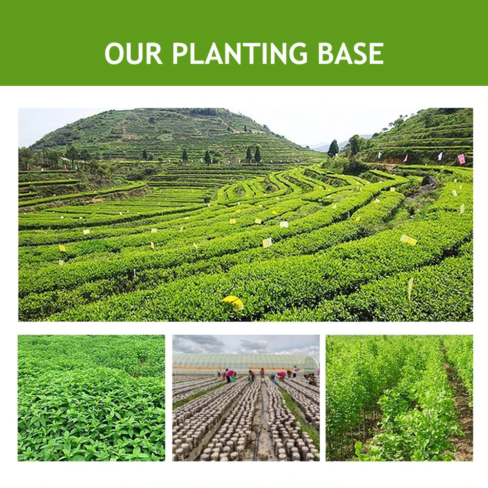 Лидер продаж аскорбил пропил гиалуронат косметическое сырье