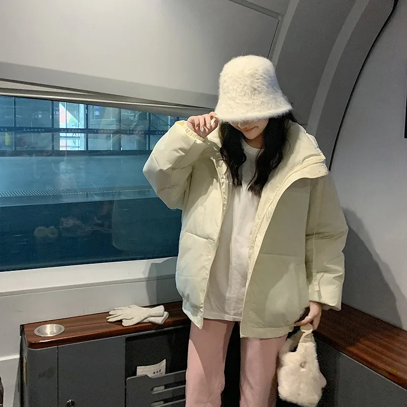 Рисунок 2 - Зимняя новая свободная тонкая пуховая куртка