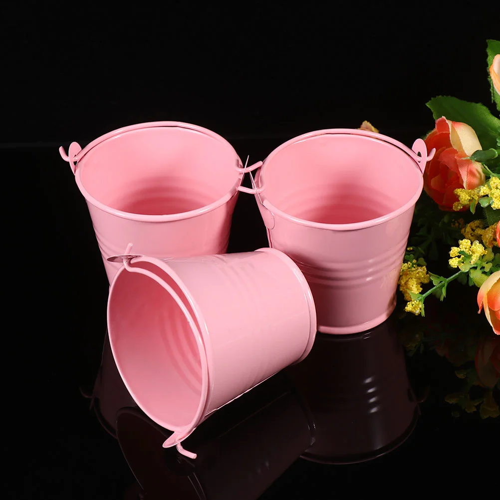 12 шт. жестяное ведро глиняный горшок сочный кашпо суккуленты растения в горшках