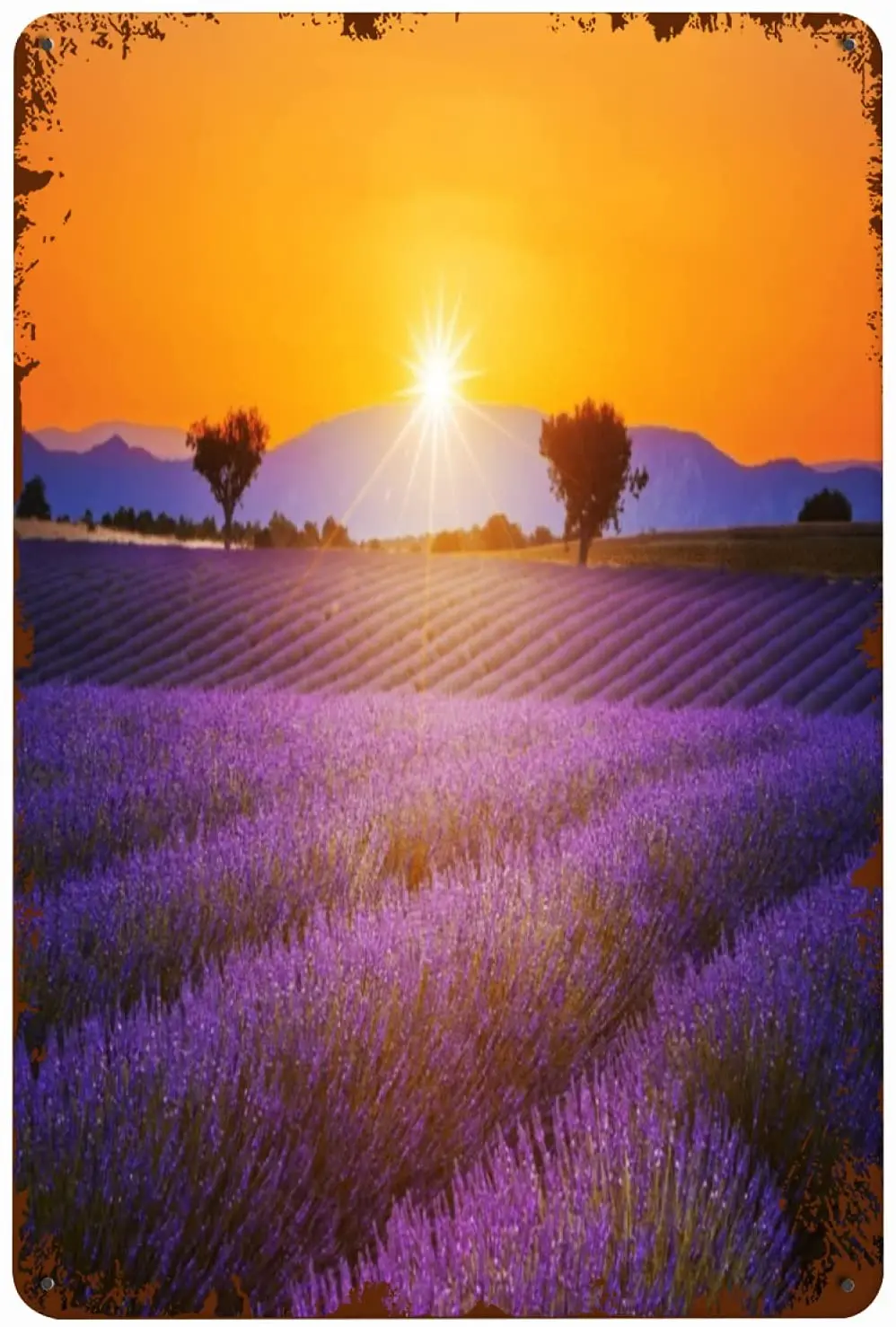 

Metal Signs Lavender Field Summer Sunset Landscape with Two Trees Near Valensole. Provence France, Tin Panel Wall Painting