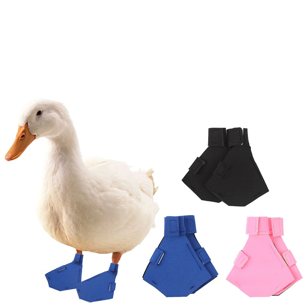 

2PCS Duck Shoes, Goose Flipper ,Pet Duck Cole Duck Paw Boots Foot Protection Non-slip Boots