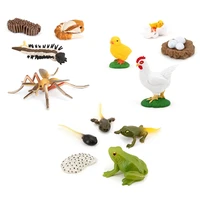13pcs life cycle figures of frog mosquito chicken plastic realistic animal modeleducational toy science toys