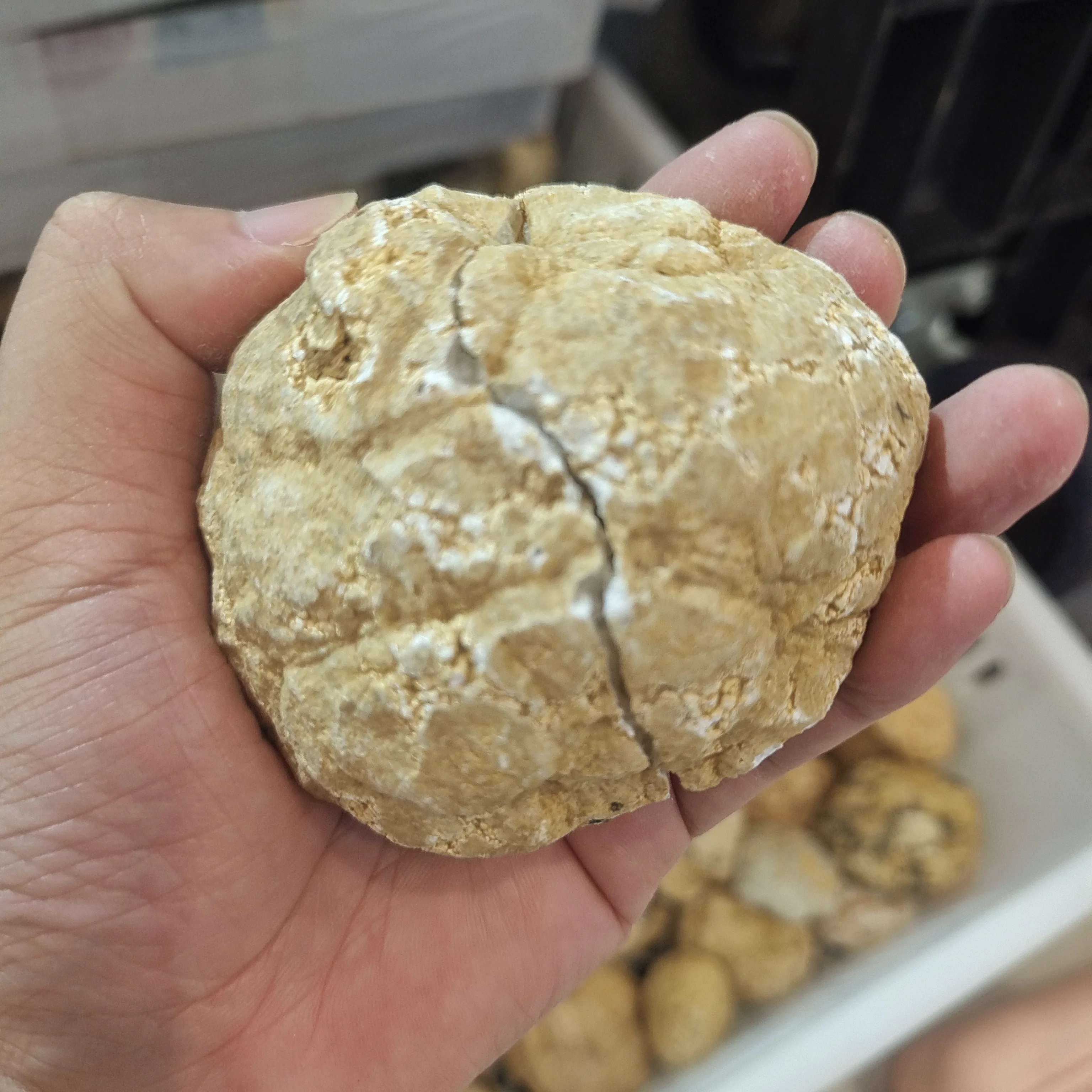 

Неправильные кристаллы агата MIRONGSJ 400г